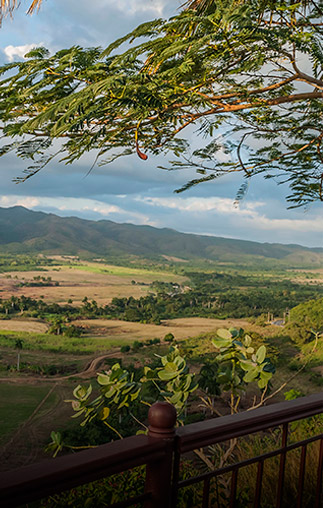 VIÑALES